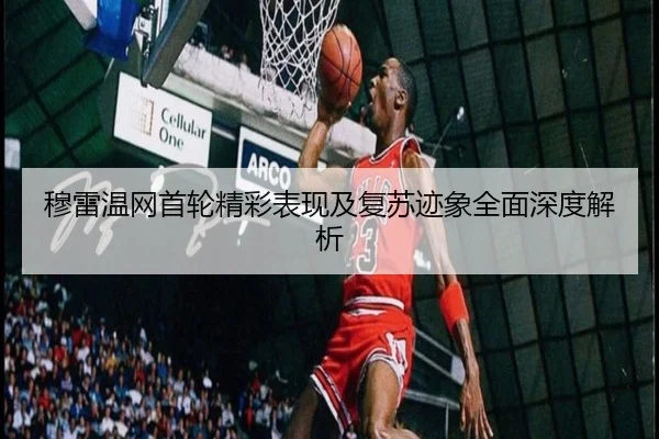 穆雷温网首轮精彩表现及复苏迹象全面深度解析